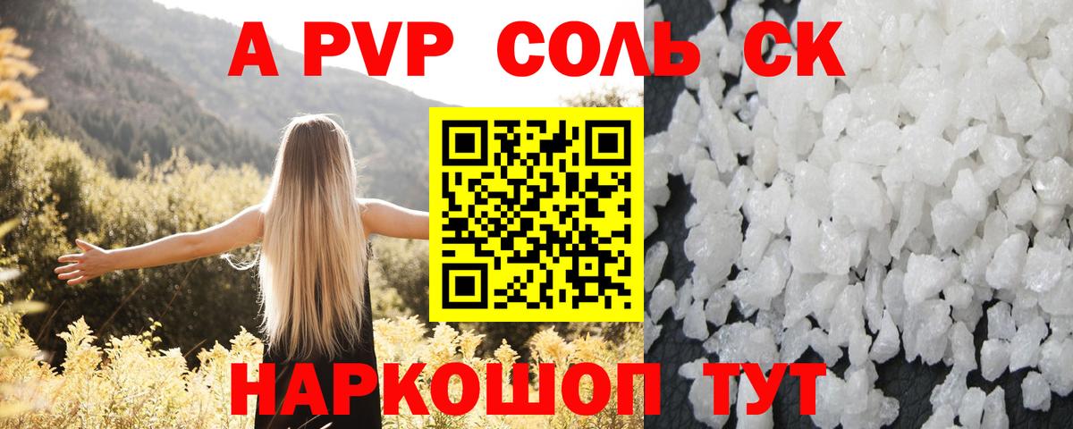 Альфа ПВП СК Туапсе