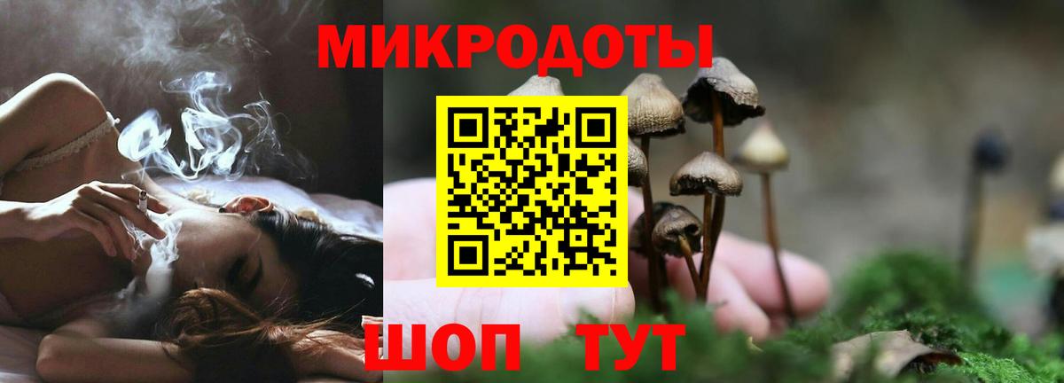 Галлюциногенные грибы прущие грибы  Вход с VPN  Туапсе  Галлюциногенные грибы Psilocybe 